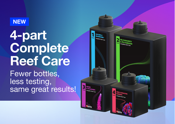 redsea レッドシー　COMPLETE REEF CARE 4-Part Complete Reef Care Dosing System - Red Sea - Bulk