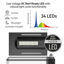 Load image into Gallery viewer, TMC First wave 48