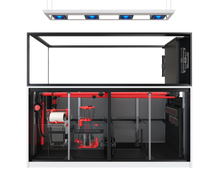 Load image into Gallery viewer, REEFER MAX Peninsula G3