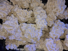 Load image into Gallery viewer, Marco Rock 40kg box deal available at Coral Passion in Essex