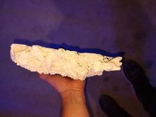 Load image into Gallery viewer, Prime Cut Marco Rock Per kg available at Coral Passion in Essex