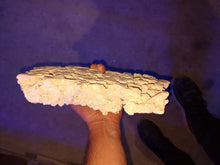 Load image into Gallery viewer, Prime Cut Marco Rock Per kg available at Coral Passion in Essex