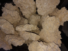 Load image into Gallery viewer, Prime Cut Marco Rock Per kg available at Coral Passion in Essex