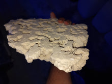 Load image into Gallery viewer, Prime Cut Marco Rock Per kg available at Coral Passion in Essex