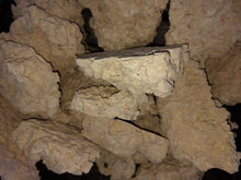 Load image into Gallery viewer, Prime Cut Marco Rock 20kg box deal available at Coral Passion in Essex