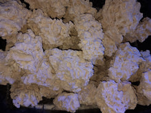 Load image into Gallery viewer, Marco Rock 40kg box deal available at Coral Passion in Essex