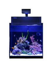 Load image into Gallery viewer, MAX® NANO Peninsula available at Coral Passion, Essex