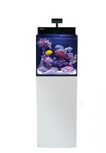 Load image into Gallery viewer, MAX® NANO Cube with white cabinet (front) available at Coral Passion, Essex