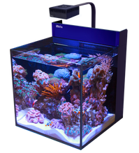 Load image into Gallery viewer, MAX® NANO Cube available at Coral Passion, Essex