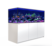 Load image into Gallery viewer, REEFER-S 850 G2 Complete System - White available at Coral Passion, Essex