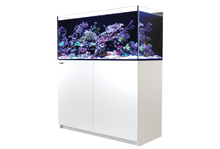 Load image into Gallery viewer, REEFER 350 G2 Complete System - White available at Coral Passion, Essex