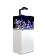 Load image into Gallery viewer, REEFER 170 G2 Deluxe System - White (Including 1x ReefLED 90 & Mount Arm) available at Coral Passion, Essex