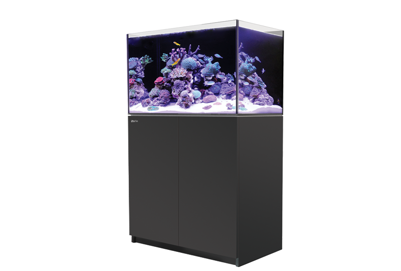 ぺろりん　Red Sea REEFER 250 G2 REEFER 250 G2 Complete System - Black/White | Aquariums | Essex
