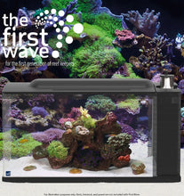 Load image into Gallery viewer, TMC First wave 48
