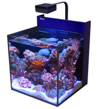 Load image into Gallery viewer, MAX® NANO Cube available at Coral Passion, Essex
