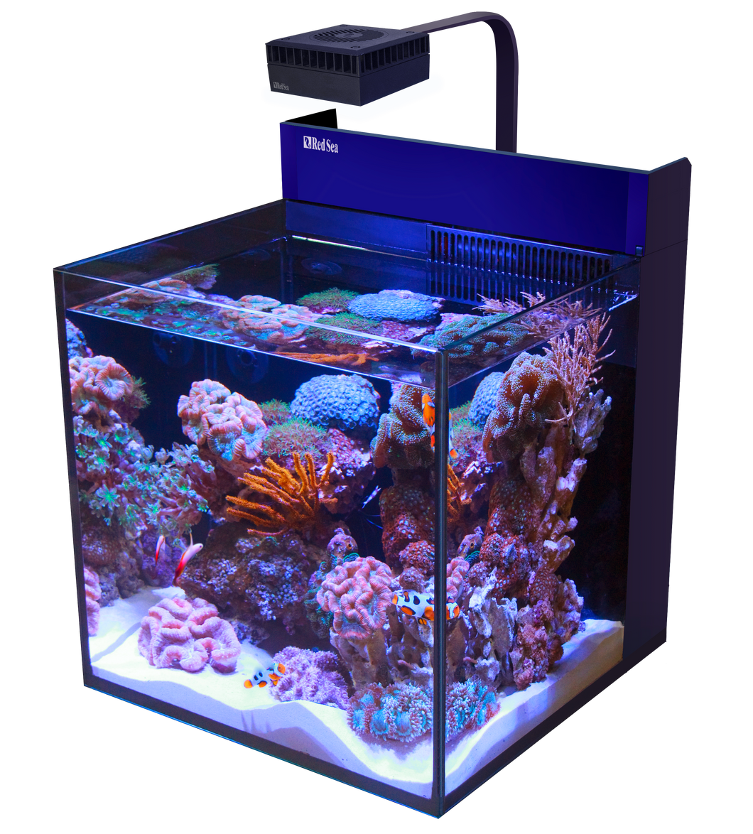 MAX® NANO Cube available at Coral Passion, Essex