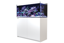 Load image into Gallery viewer, REEFER 350 G2 Complete System - White available at Coral Passion, Essex
