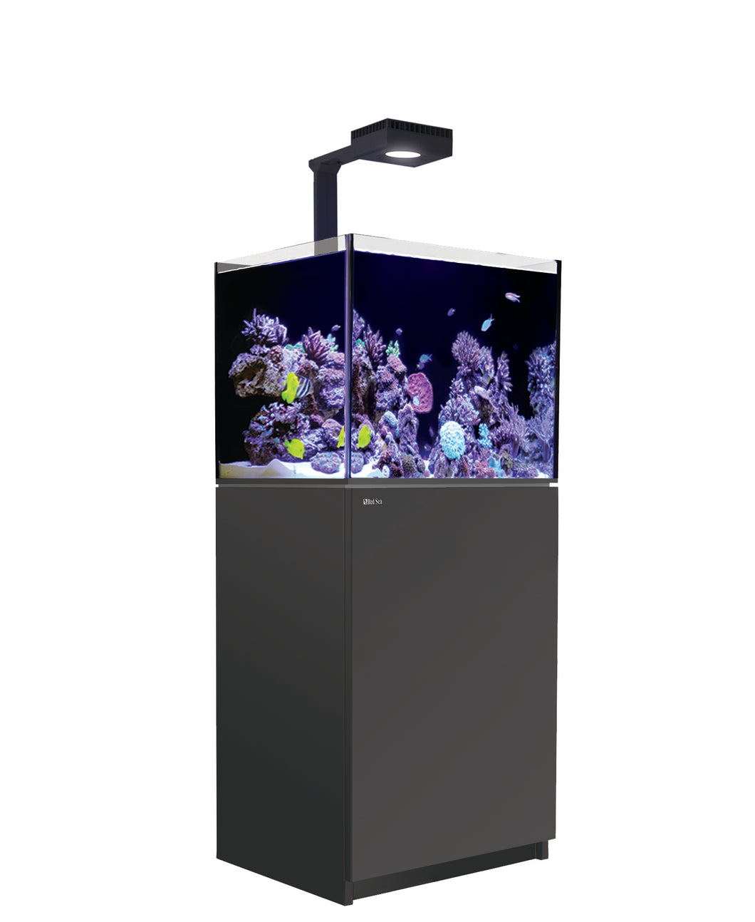 REEFER 170 G2 Deluxe System - Black (Including 1x ReefLED 90 & Mount Arm) available at Coral Passion, Essex