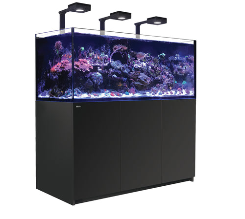 REEFER XXL 625 G2 Deluxe System - Black available at Coral Passion, Essex